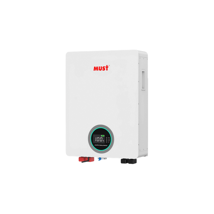 Batería de Litio Ferrofosfato / 100 Ah / 51.2 V / ≥6000 Ciclos / Comun