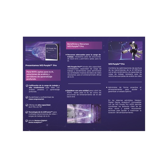 Disco Duro PURPLE de 2TB / 3 AÑOS DE GARANTÍA / Para Videovigilancia
