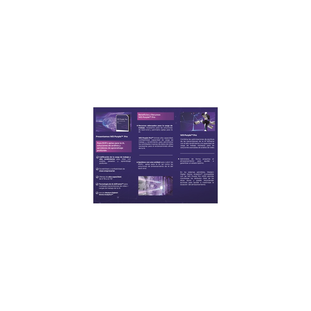 Disco Duro PURPLE de 2TB / 3 AÑOS DE GARANTÍA / Para Videovigilancia