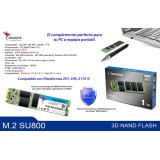 UNIDAD SSD M.2 ADATA SU800 2280 256GB (ASU800NS38-256GT-C)