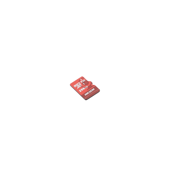 Memoria microSD / Clase 10 de 256 GB / Especializada Para Videovigilan