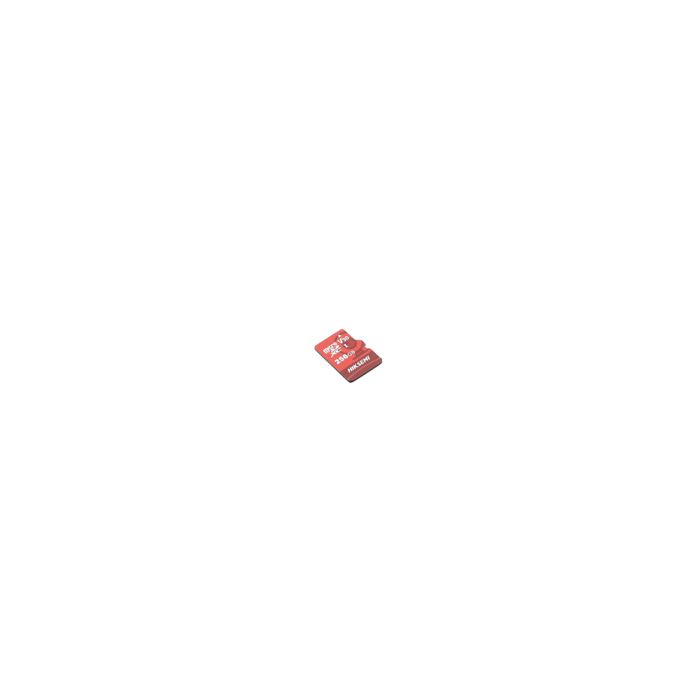 Memoria microSD / Clase 10 de 256 GB / Especializada Para Videovigilan